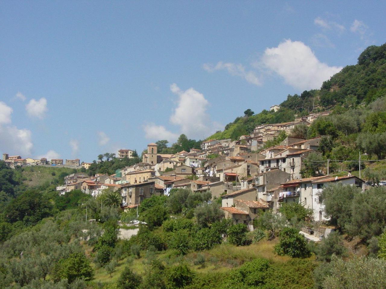 B&B Calabria Scigliano Exterior photo